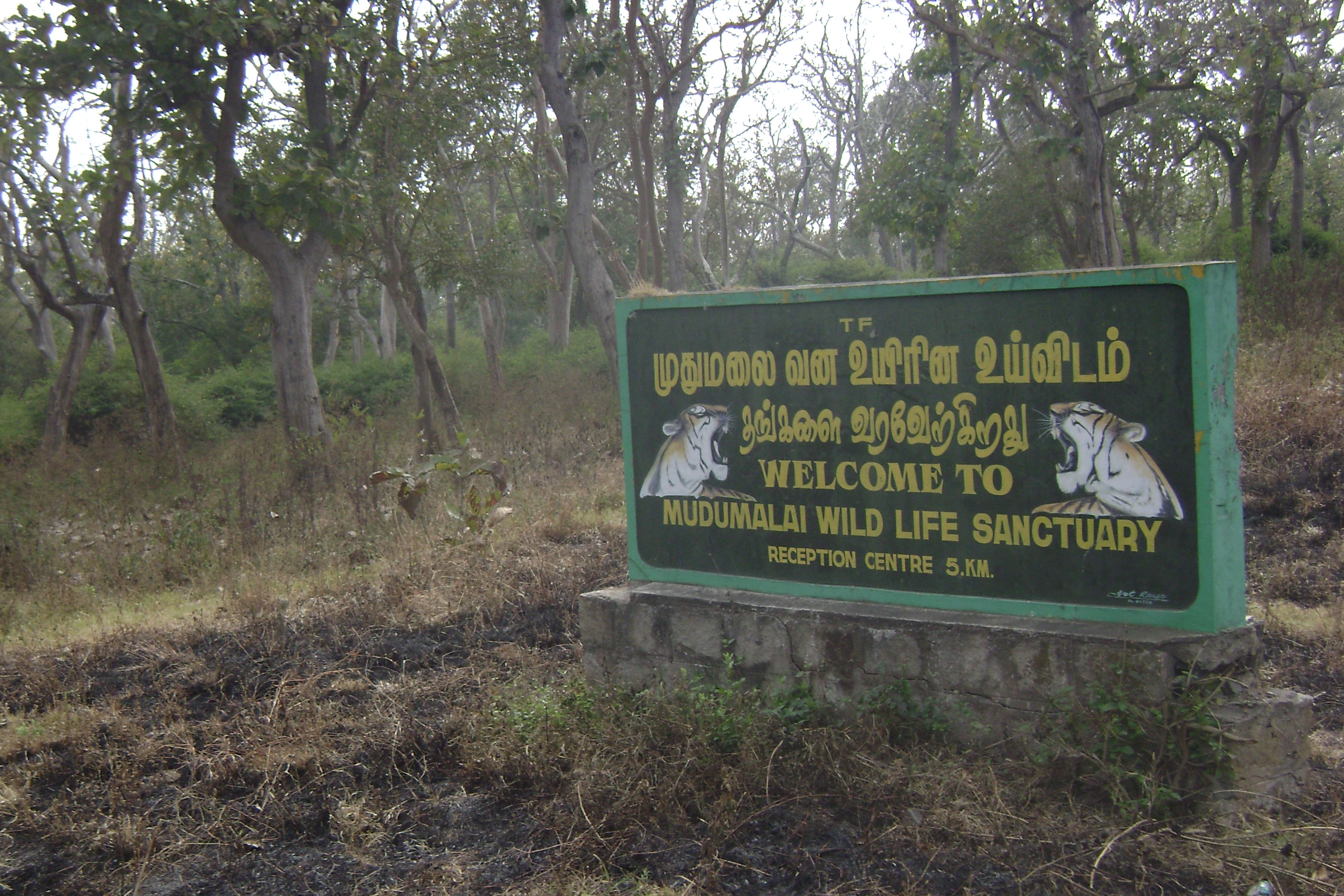 mudumalai